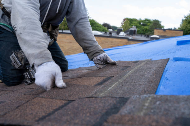 Best Shingle Roofing Installation  in Tutwiler, MS
