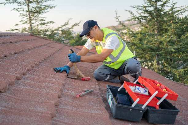 Best Roof Repair Services  in Tutwiler, MS