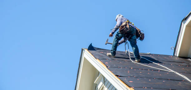 Best Roof Waterproofing Services  in Tutwiler, MS